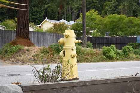 A yellow fire hydrant on the side of a road
